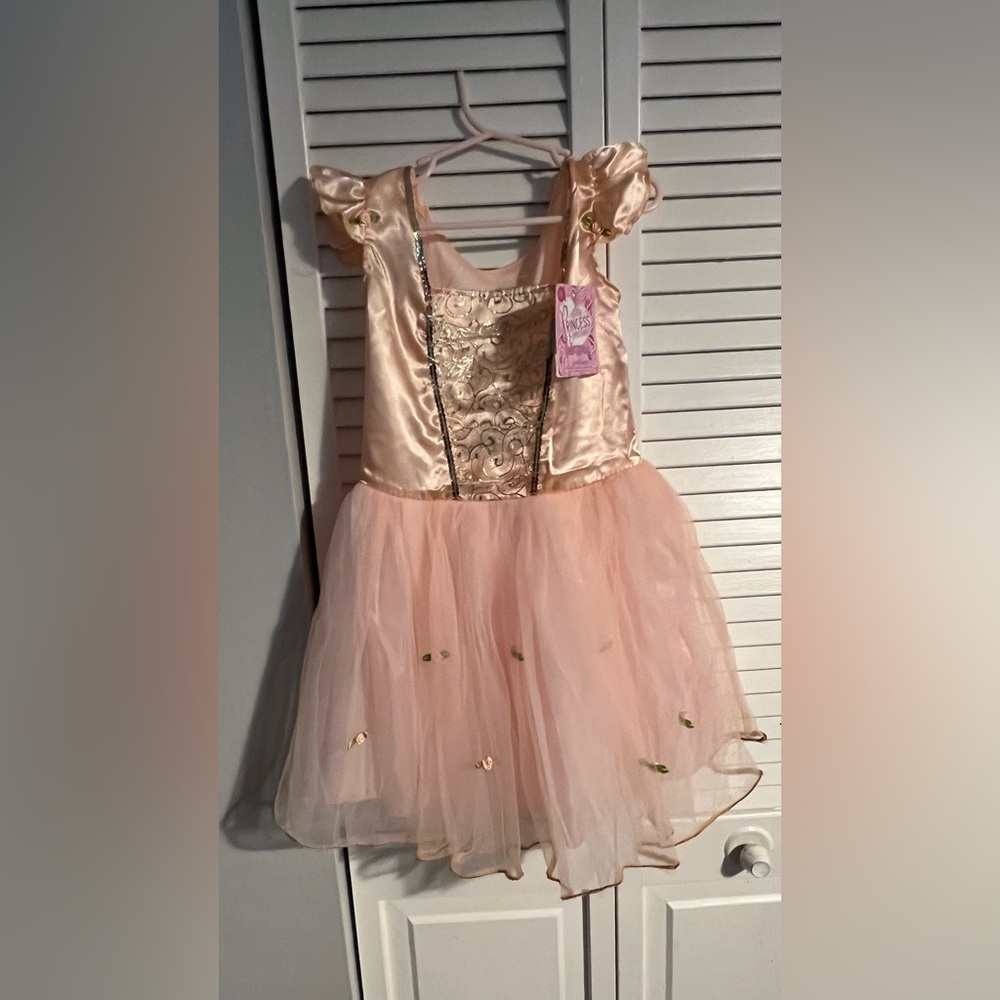 Princess Dress